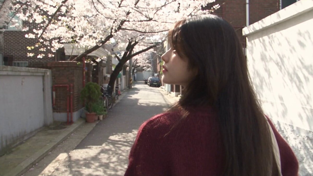 Korean Woman Walking in Spring Blossoms